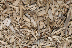 biomass boilers Seilebost